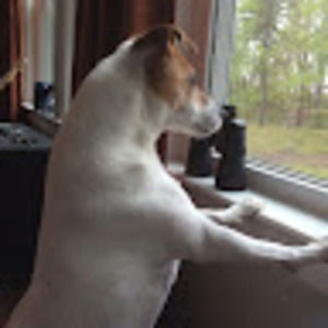 Meet your Posher, Patricia